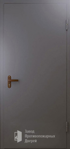 Фото двери «Техническая дверь №1 однопольная» в Старой Купавне