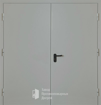 Фото двери «Двупольная глухая EI-30» в Старой Купавне