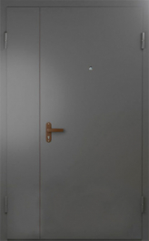 Фото двери «Техническая дверь №6 полуторная» в Старой Купавне